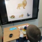 Uczeń podczas zadania wyboru identycxznego zwierzęcia na tablicy interaktywnej z wykorzystaniem dostosowanej myszki.