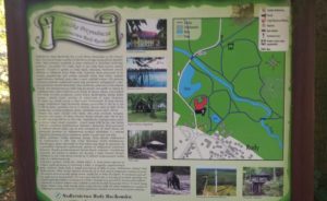Tablica informacyjna w ramach edukacyjnej ścieżki przyrodniczej w Nadleśnictwie w Rudach Racibiborskich.