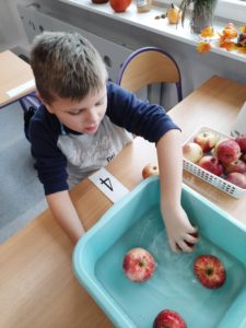 Uczeń podczas wyławiania z miski z wodą zadanej ilości jabłek.