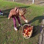 Przedszkolak podczas wkładania jabłek do kosza - w ramach plenerowej imprezy Dzień Ziemniaka.