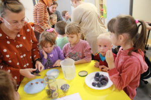 Przedszkolaki asystujący nauczycielce w przygotowaniu kompotu śliwkowego.