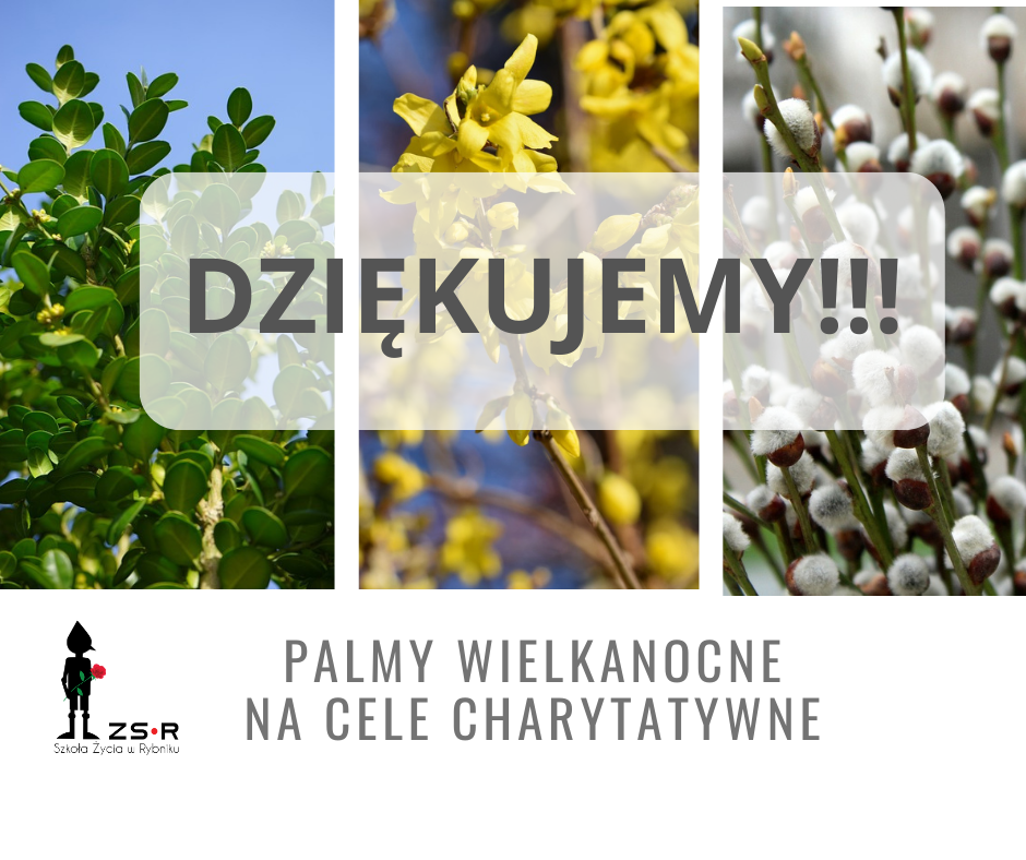 Palmy wielkanocne na cele charytatywne – podziękowanie Palmy wielkanocne na cele charytatywne – podziękowanie
