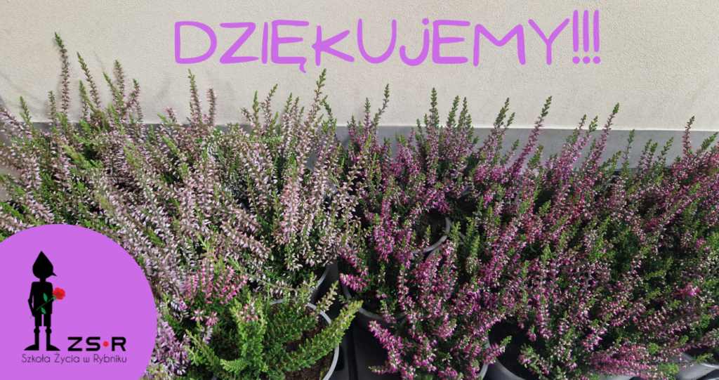 Podziękowanie za udział w akcji „Kwiaty za elektrograty” Podziękowanie za udział w akcji „Kwiaty za elektrograty”
