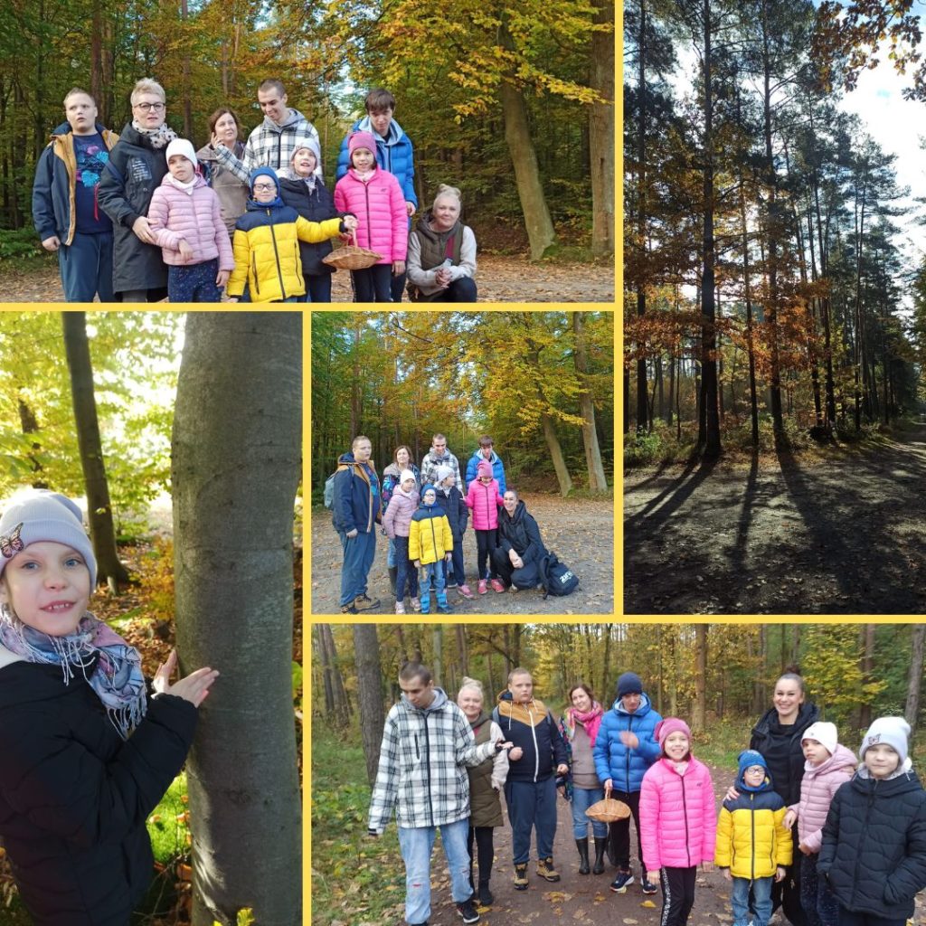 Wycieczka do lasu Rudy Paproć