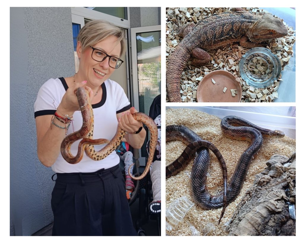Egzotyczni goście w naszej placówce!